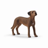 Køb Schleich Rhodesian Ridgeback billigt på Legen.dk!