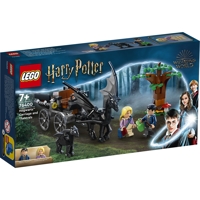 Køb LEGO Harry Potter Hogwarts-vogn og thestraler billigt på Legen.dk!